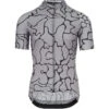 Assos Voganski Gerva Grey Mille GT Men's Jersey C2